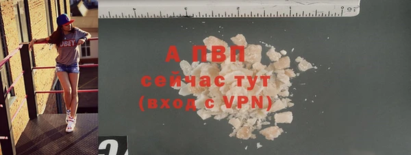 прущие грибы Пестово