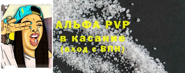 спиды Аркадак