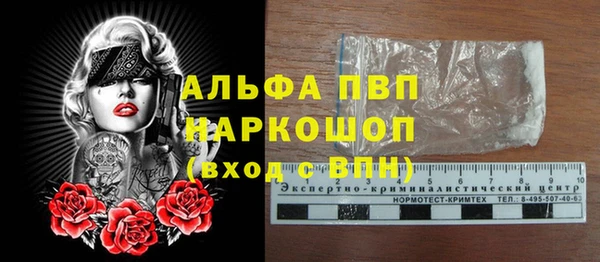 apvp Кизел