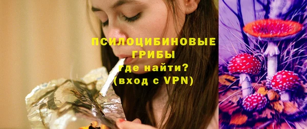 спиды Аркадак