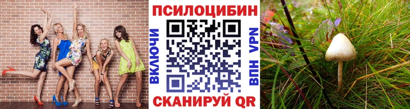 Псилоцибиновые грибы Magic Shrooms  что такое   hydra ТОР  Луза 